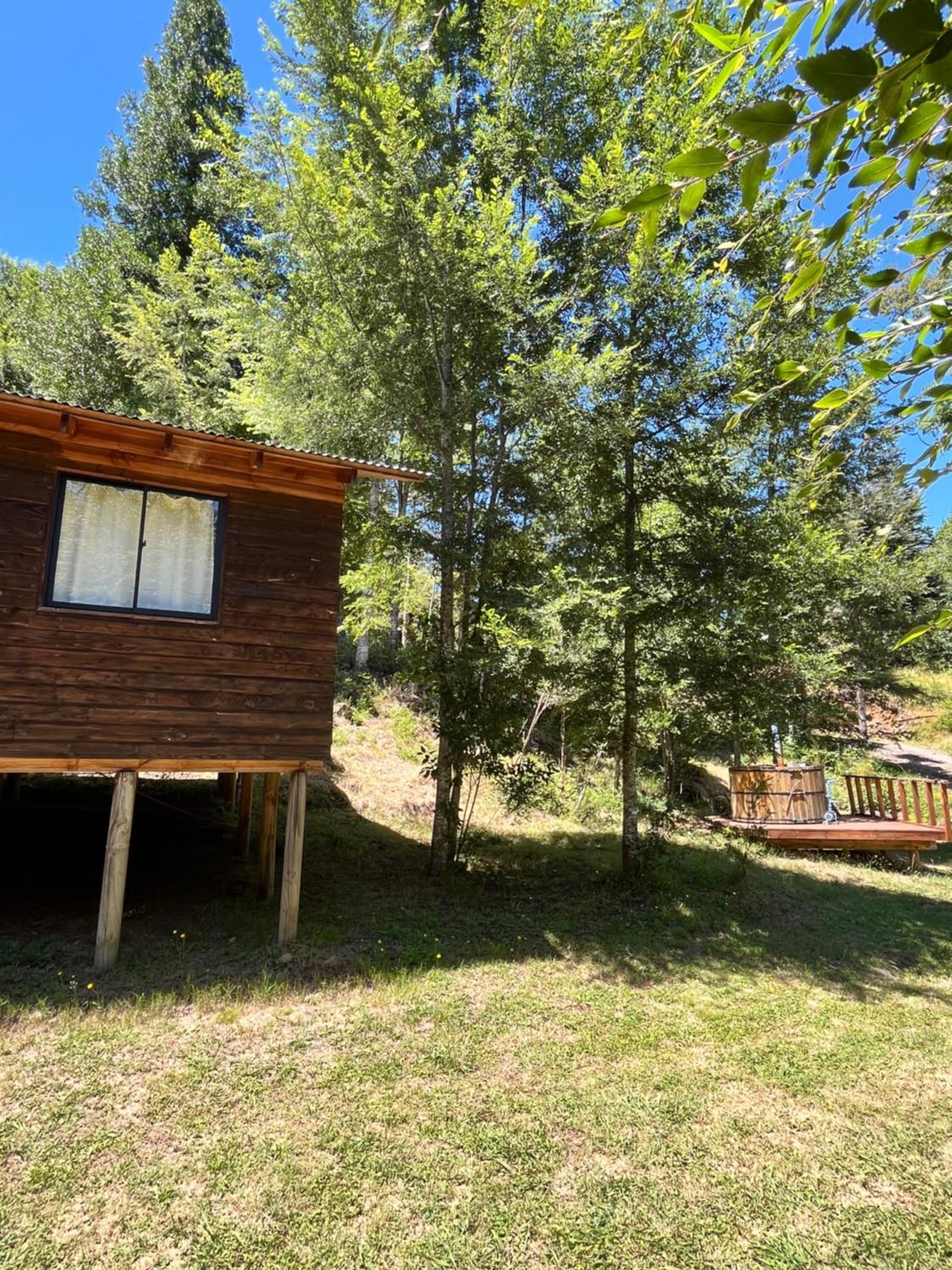 Namoncahue Holiday home Pucon